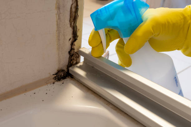 Best Office Mold Removal Services  in Tyrone, OK