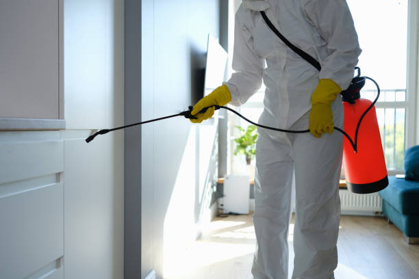 Best Mold Removal Process  in Tyrone, OK