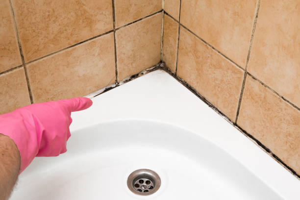 Best Certified Mold Removal  in Tyrone, OK